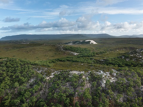 alligator Creek Road Tender.jpg