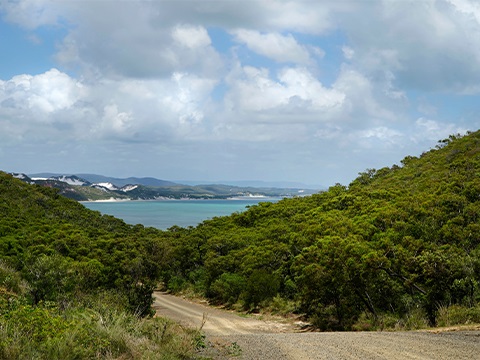 Elim Beach Tender.jpg